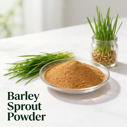 How Is Barley Sprout Powder Used in Dietary Supplements?